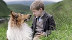 13 Филмови за кучиња кои инспирираат купување на кученце